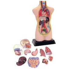 8 Pc 27cm 10