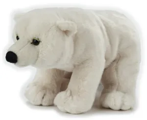 Antics Polar Bear