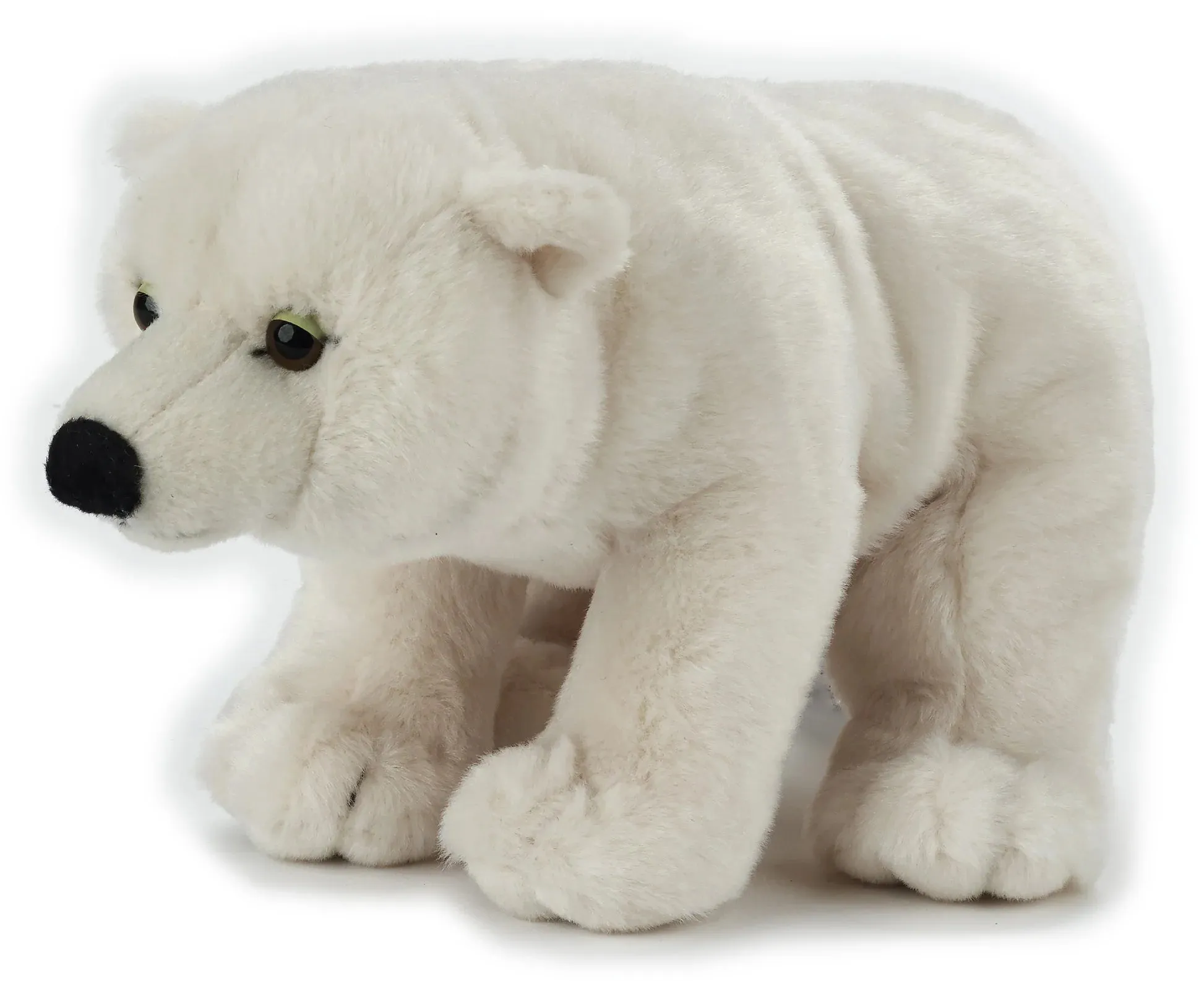 Antics Polar Bear