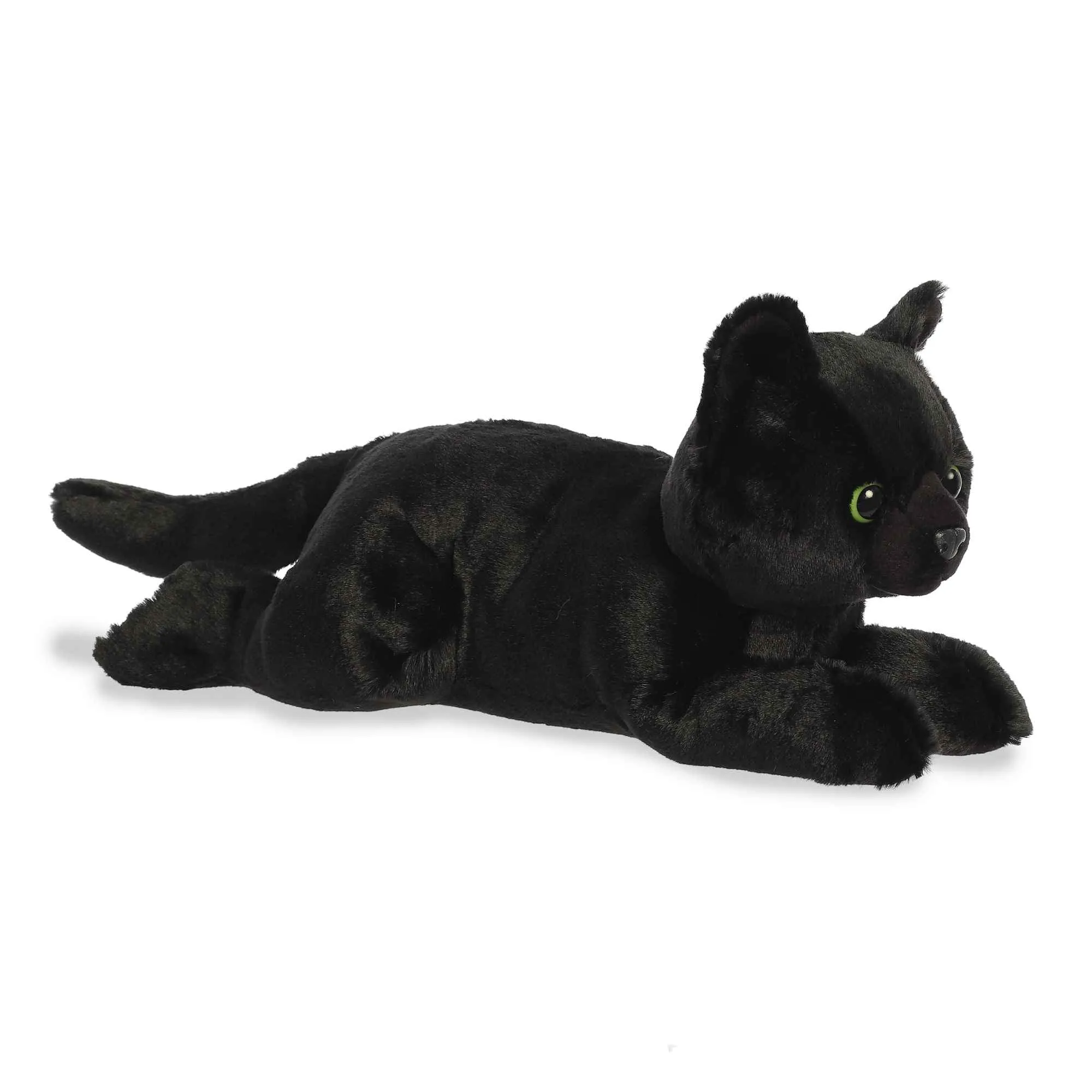 Aurora Twilight Cat