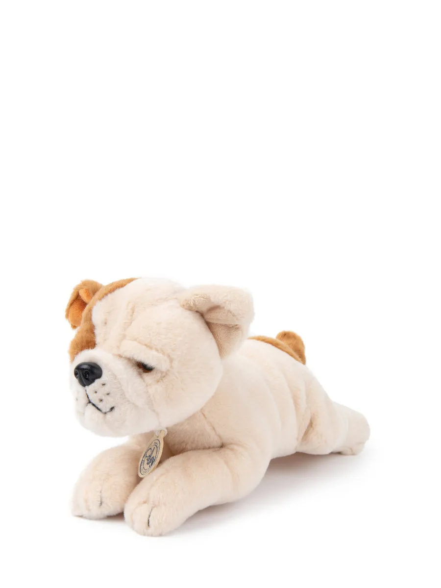 B.T. Chaps - Bertha The American Bulldog In Giftbox