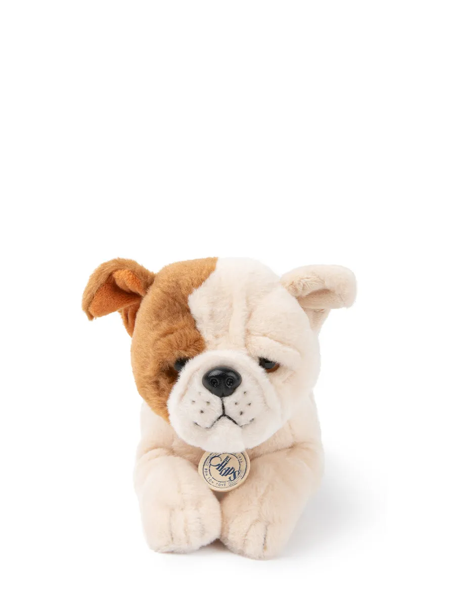 B.T. Chaps - Bertha The American Bulldog In Giftbox