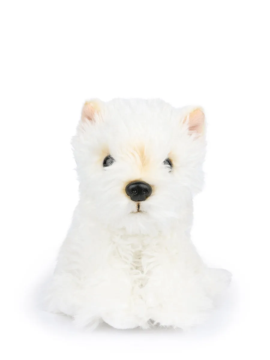 B.T. Chaps - Timothy The Scottish Terrier In Giftbox