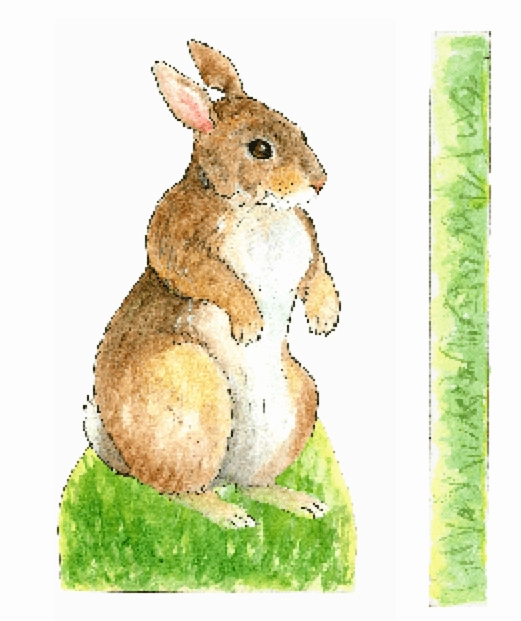 Bunny Rabbit Paper Doll Kit
