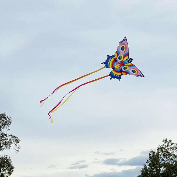 Butterfly Kite