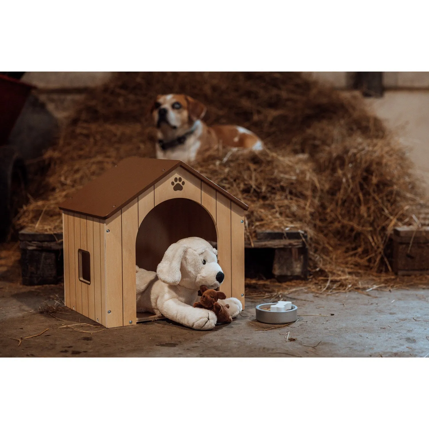 by Astrup Hundehus