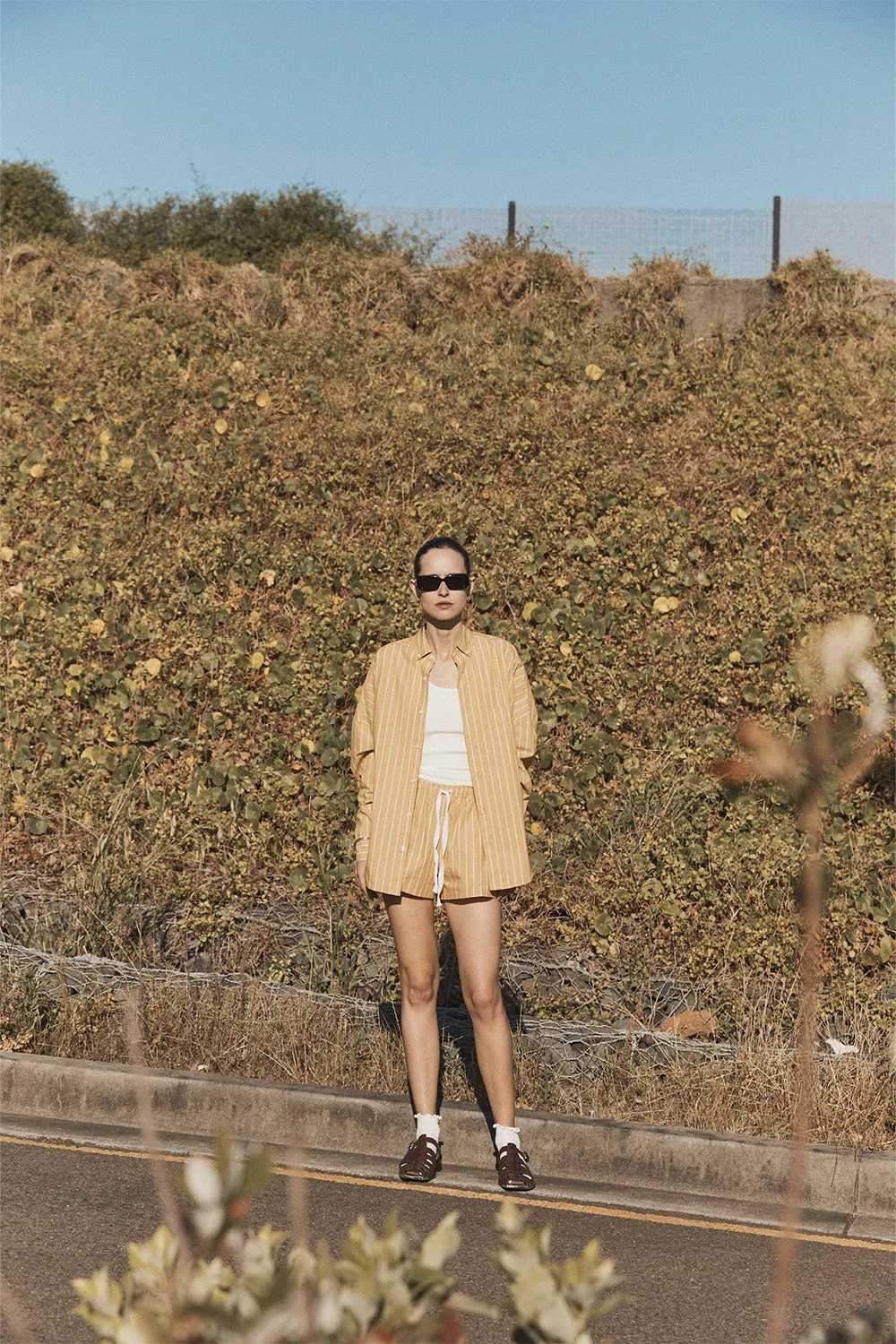 Cecile Shorts Brown