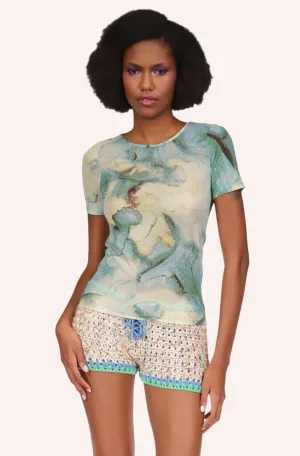 Cosmos Mesh Top