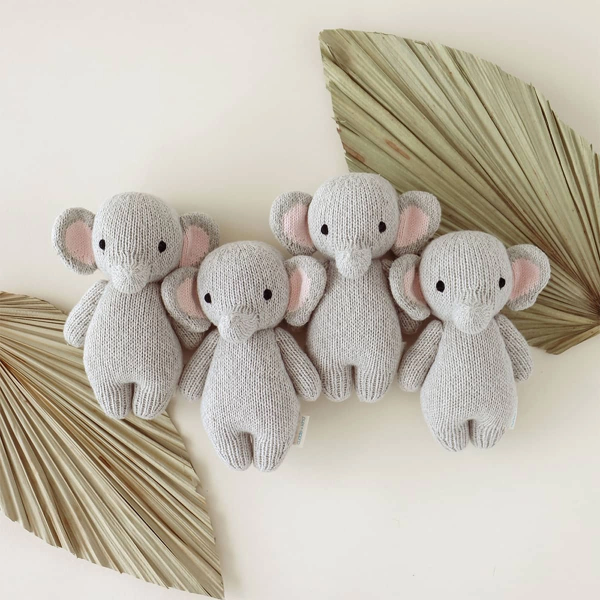 cuddle kind Baby elephant