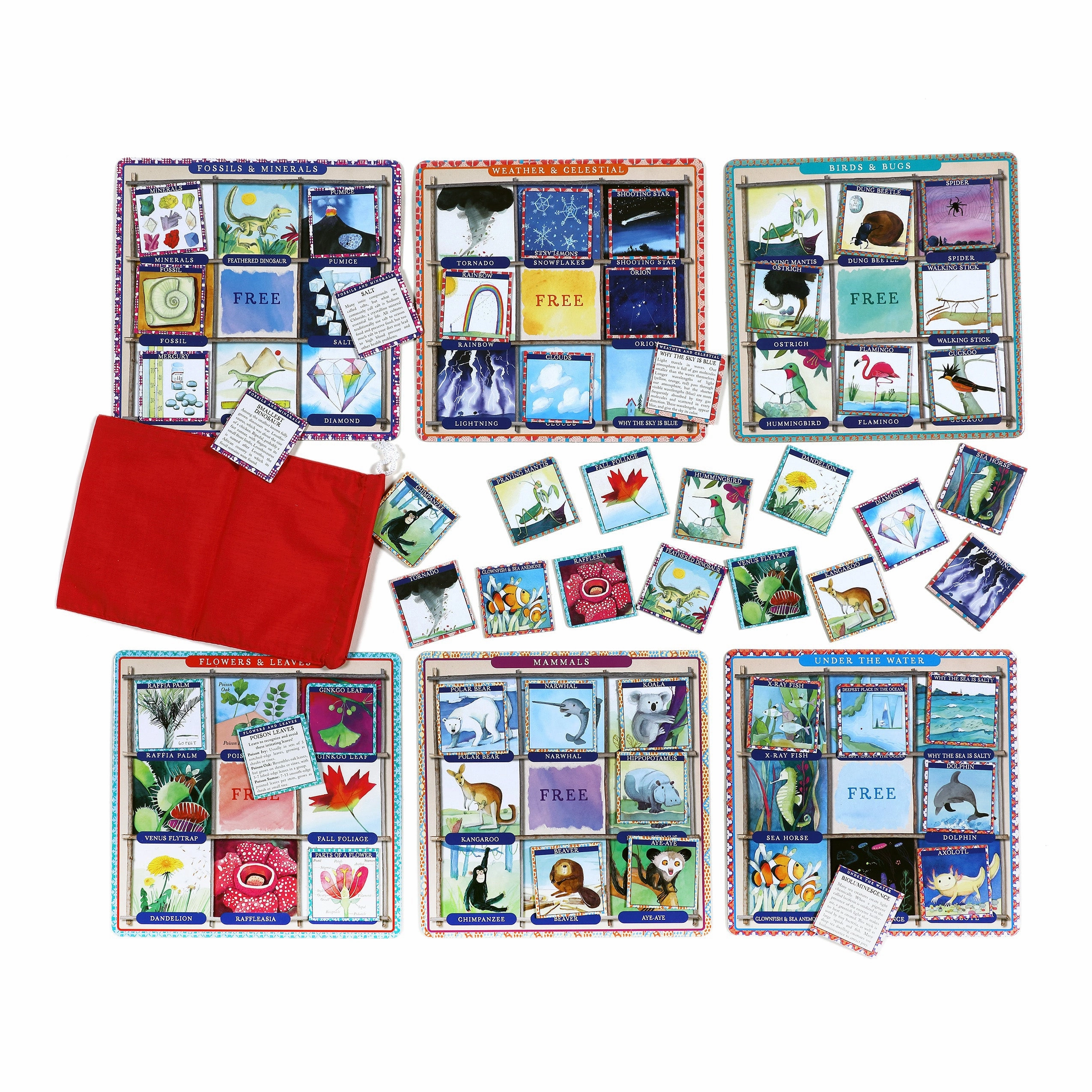 eeBoo Natural Science Bingo