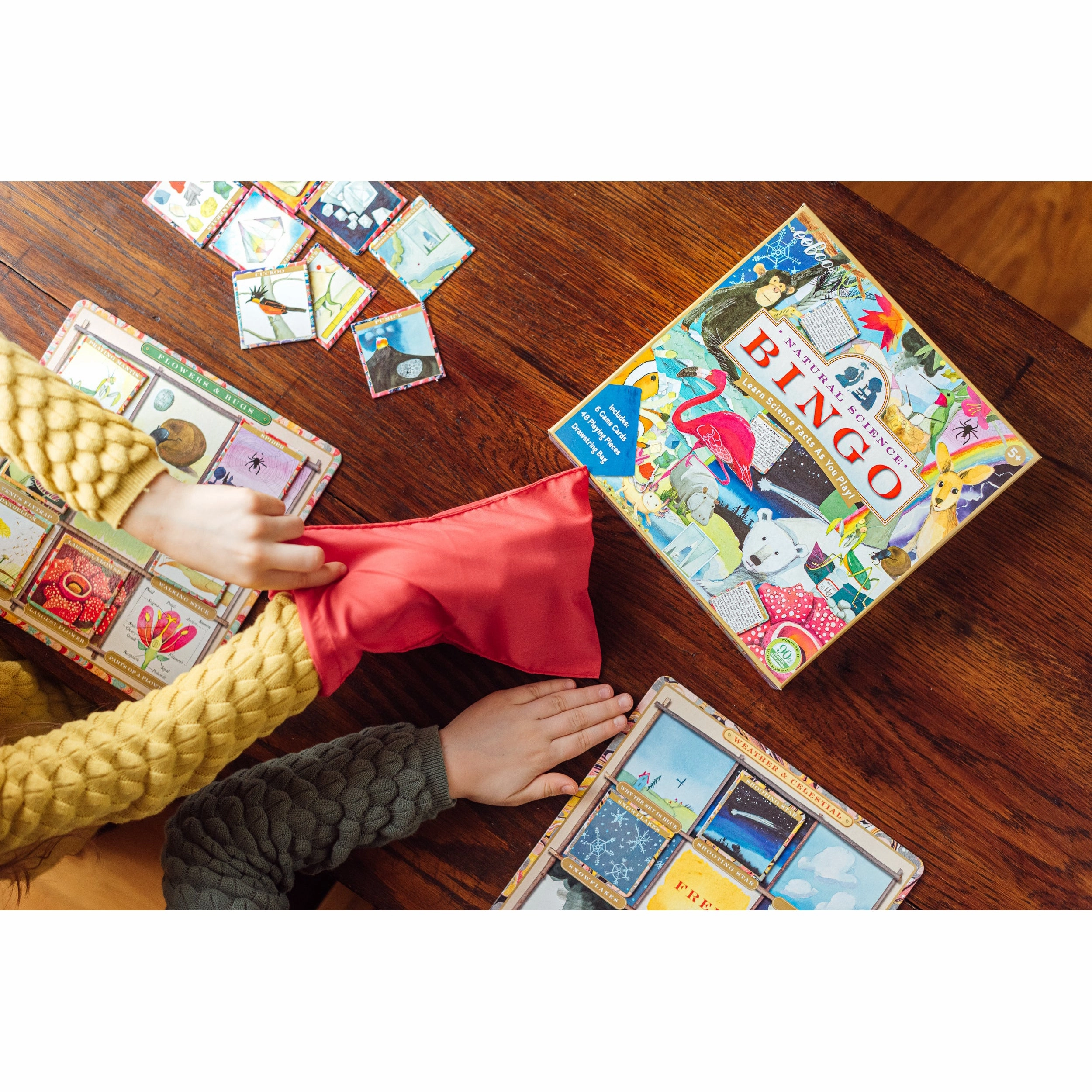 eeBoo Natural Science Bingo