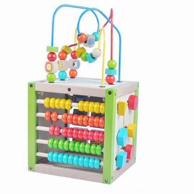Ever Earth My First Multi-Play Activity Cube
