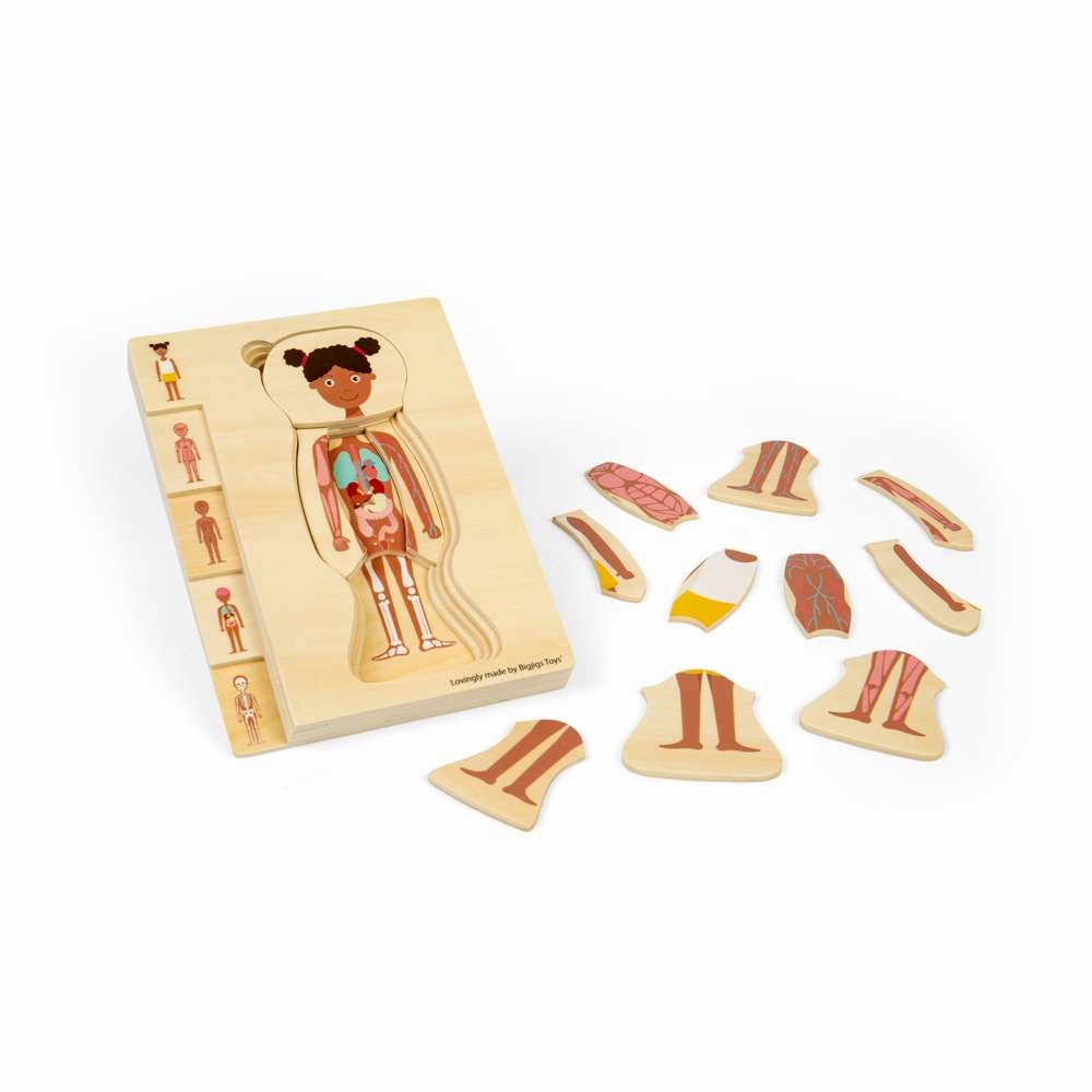 Female Human Anatomy Puzzle