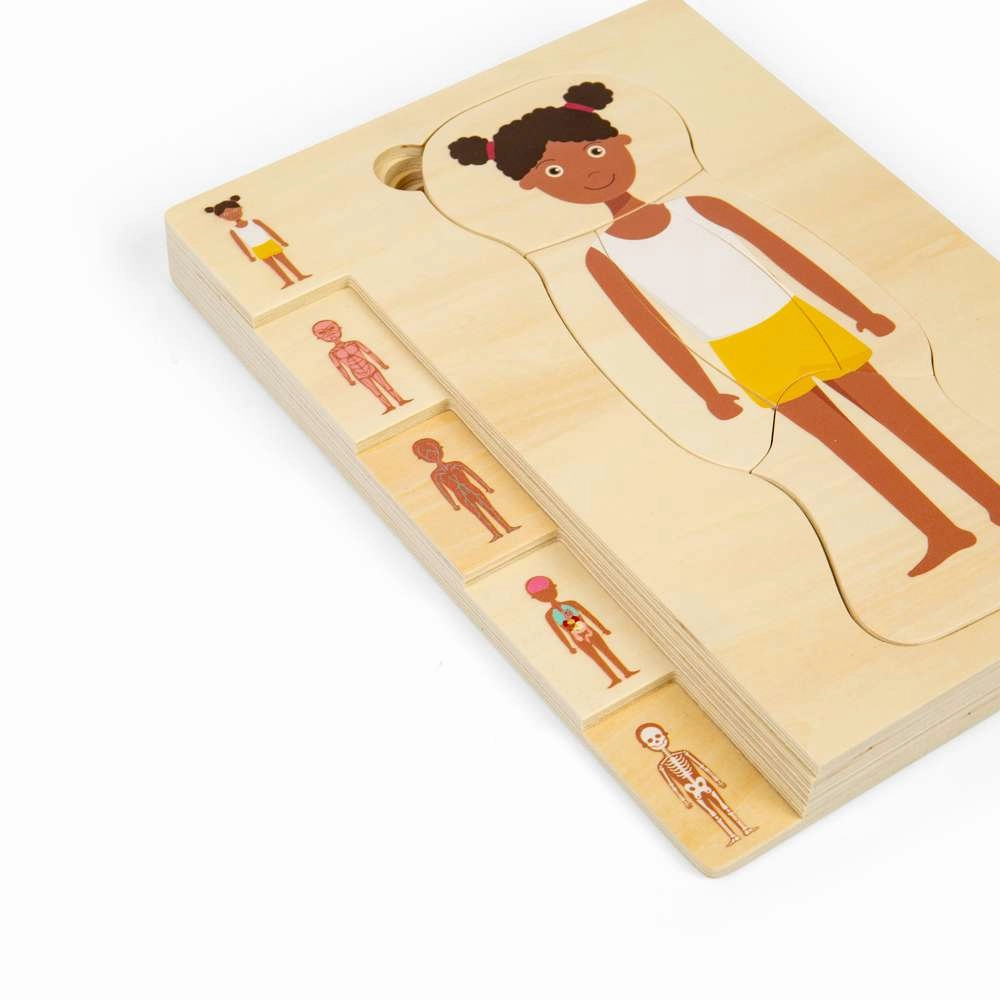 Female Human Anatomy Puzzle