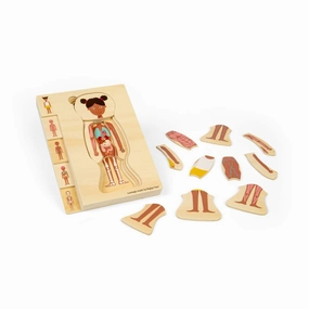 Female Human Anatomy Puzzle