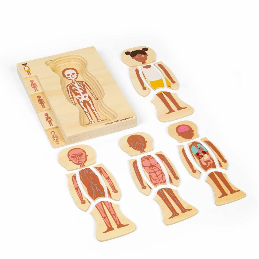 Female Human Anatomy Puzzle