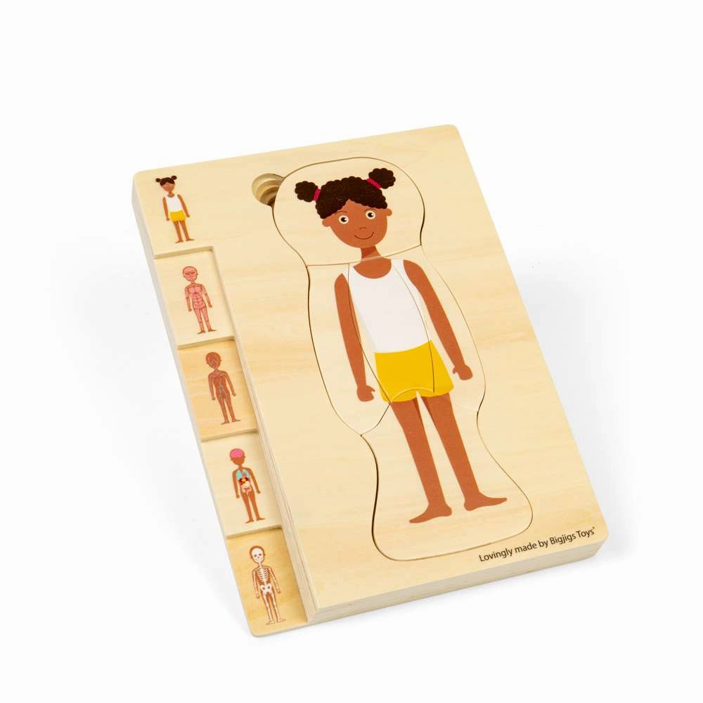 Female Human Anatomy Puzzle