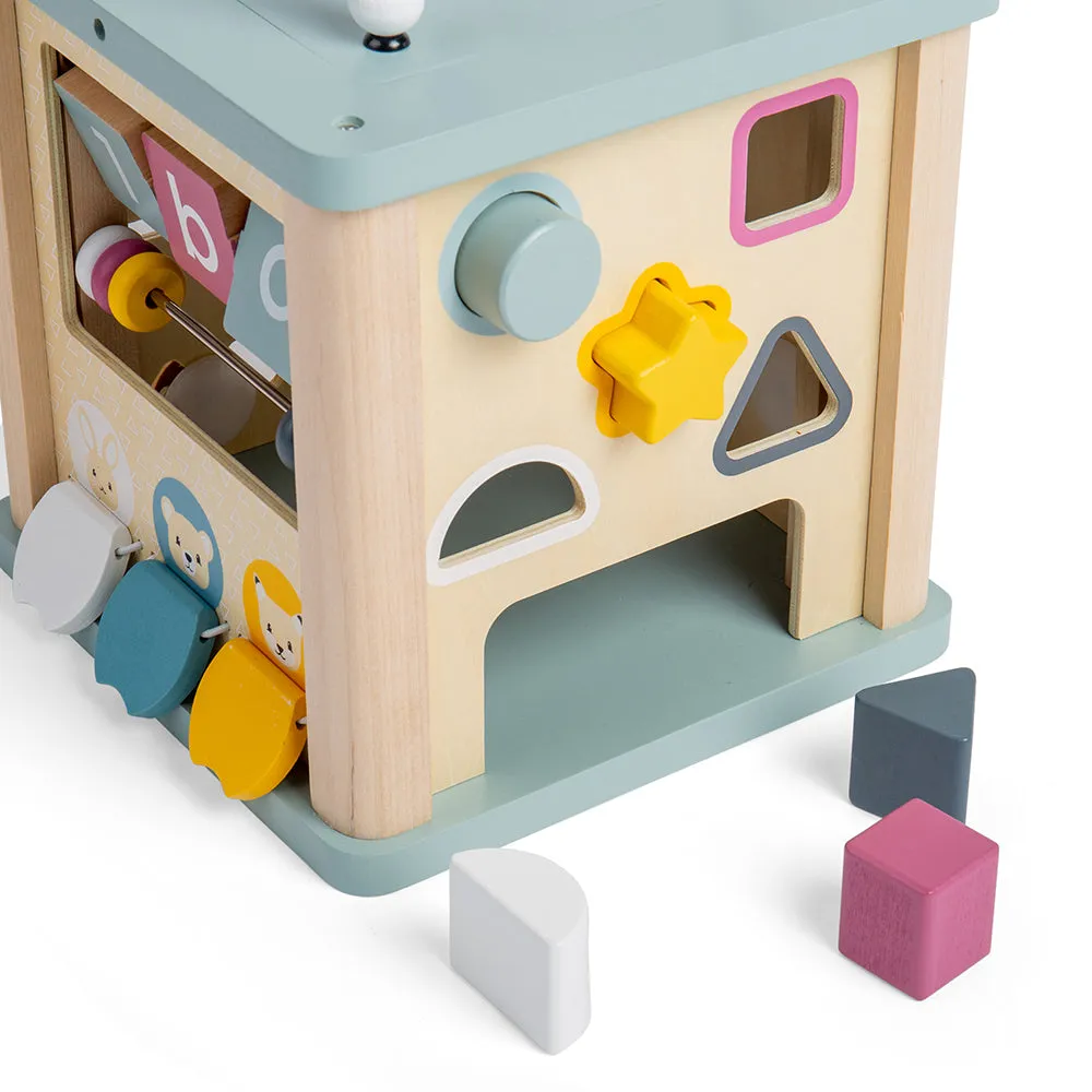 FSC Certified Activity Cube