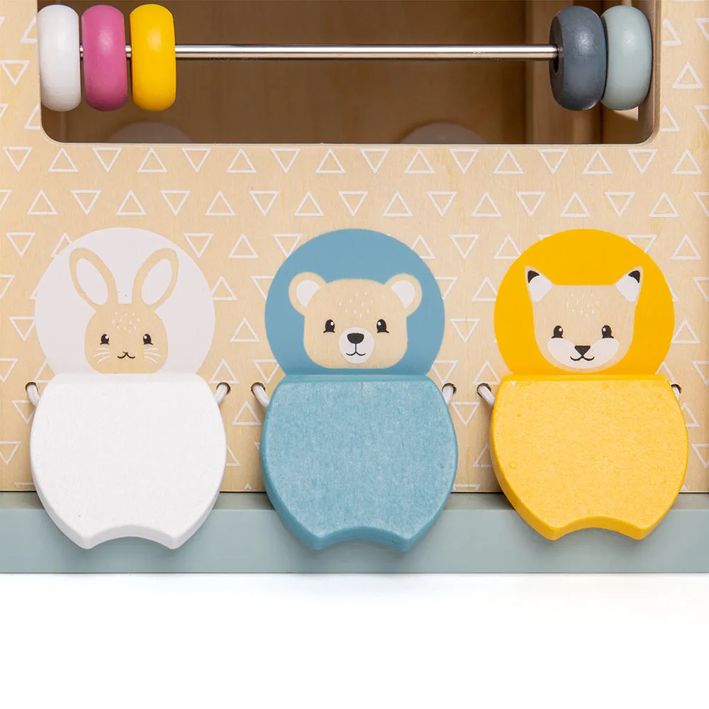 FSC Certified Activity Cube