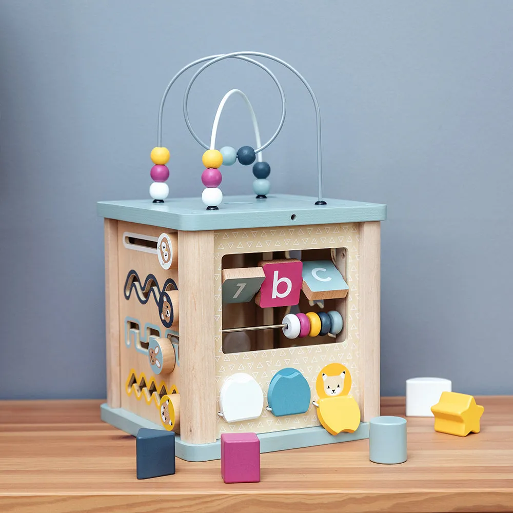 FSC Certified Activity Cube