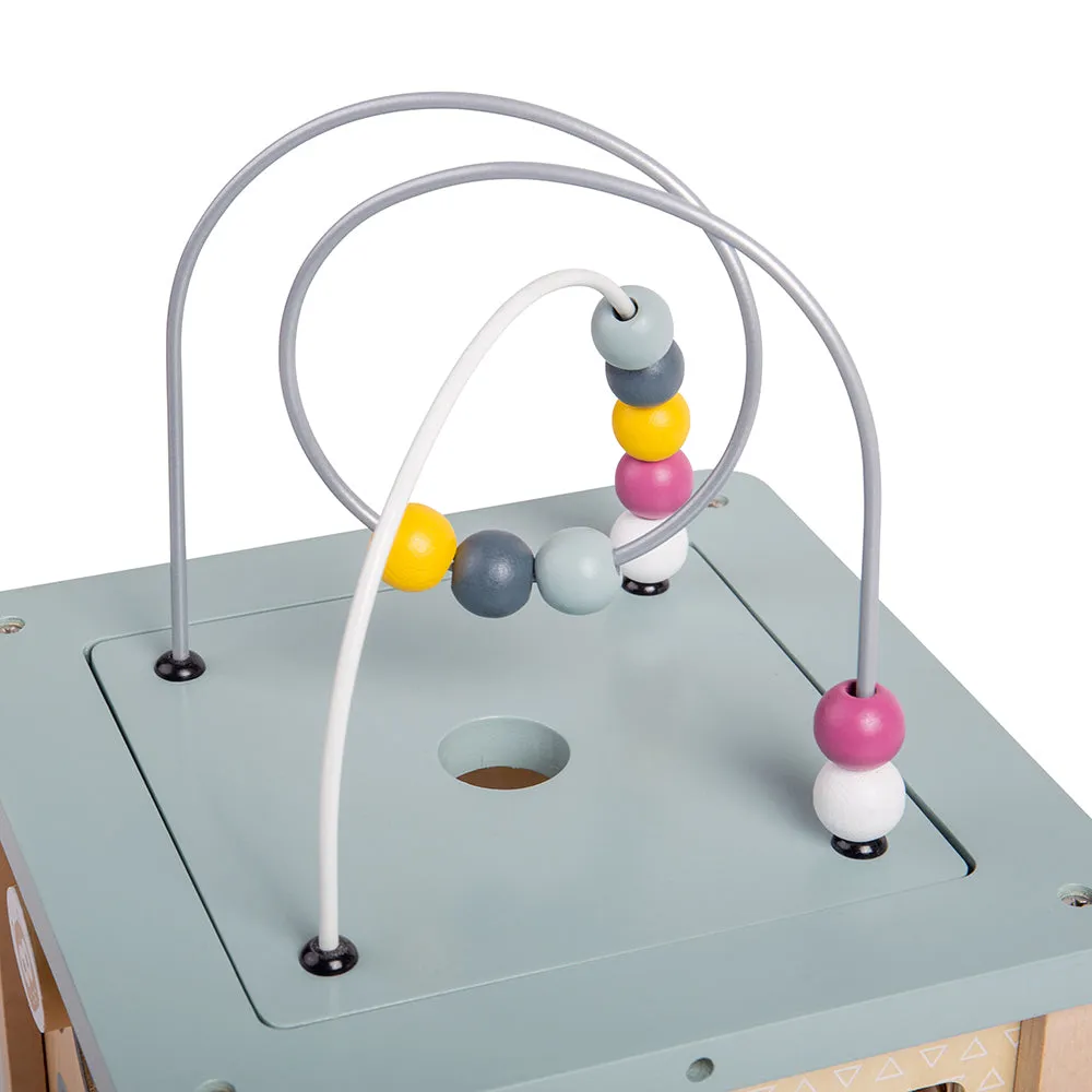 FSC Certified Activity Cube