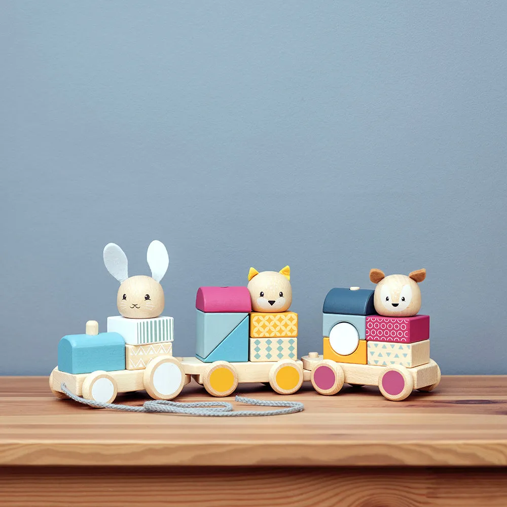 FSC Certified Activity Pull Along Train