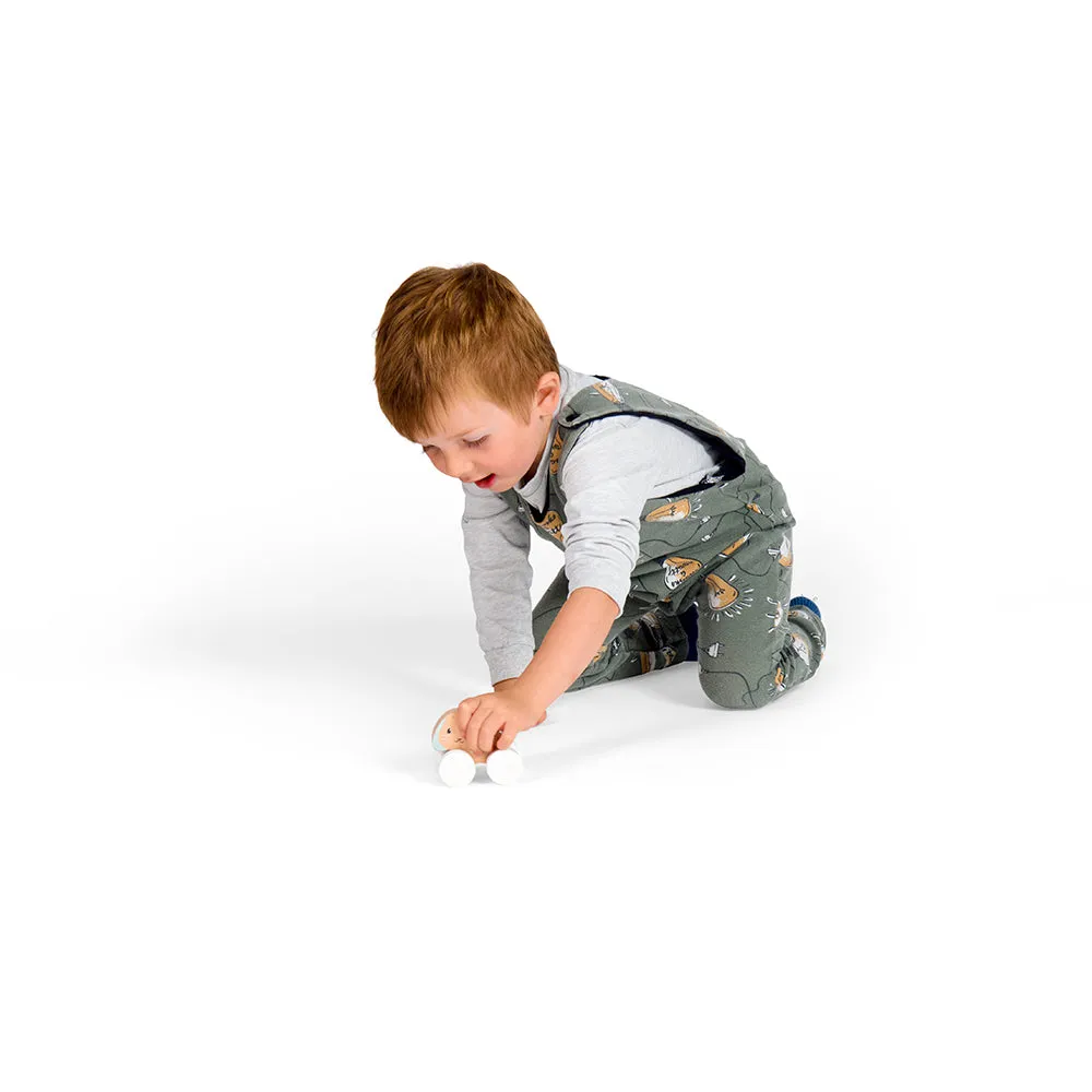 FSC Certified Pull Along Bunny & Baby