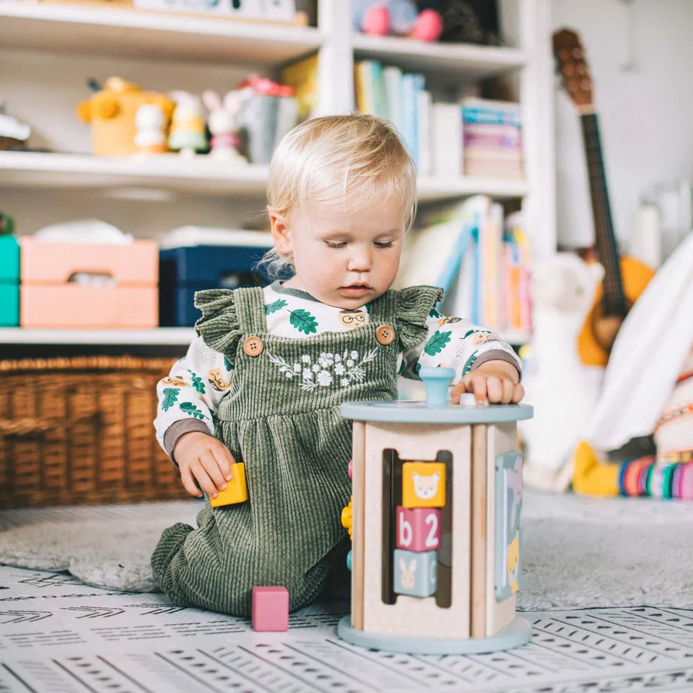 FSC Certified Rolling Activity Sorter