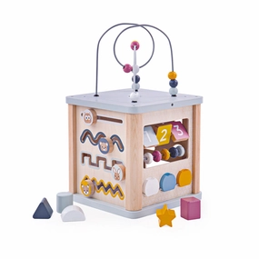 FSC Certified Activity Cube