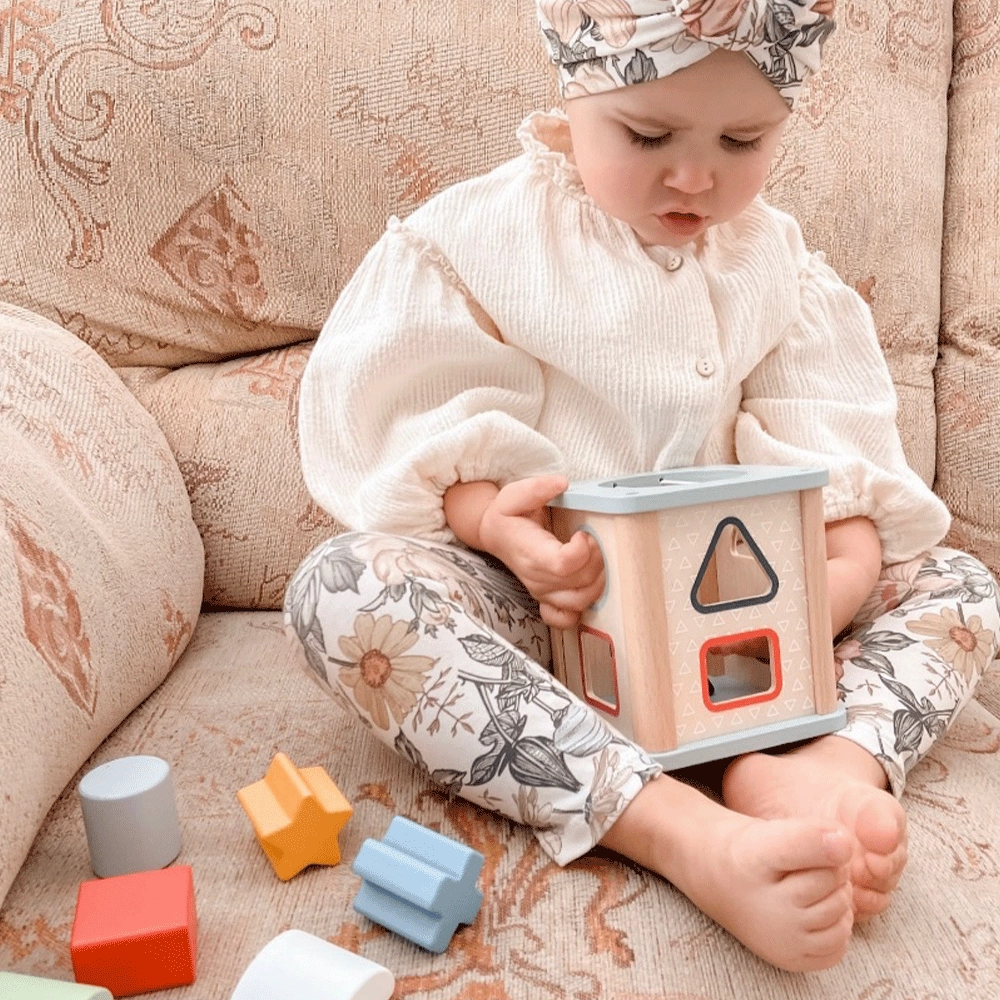 FSC Certified Shape Sorter
