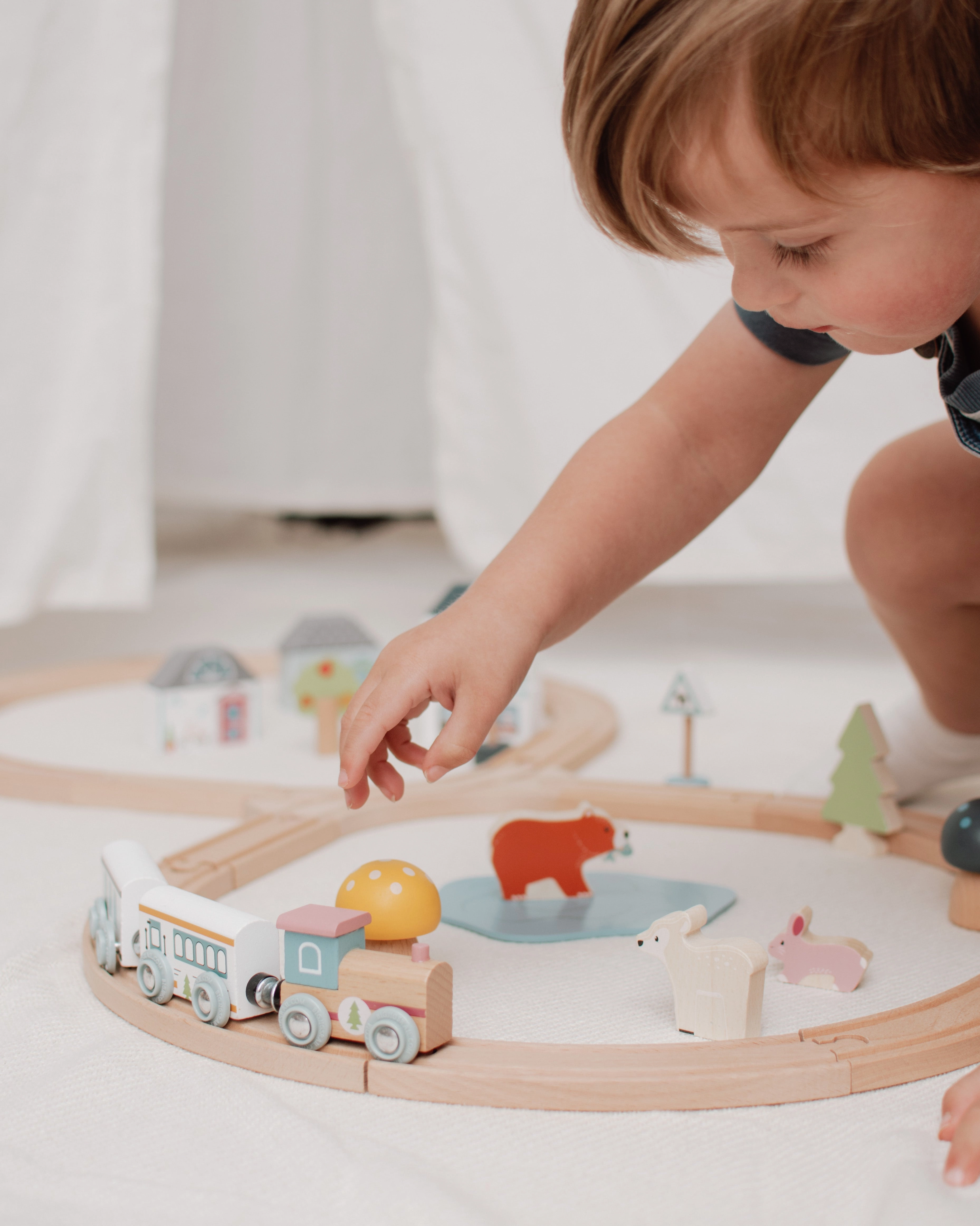 FSC Certified Train Set (Woodland Animal)