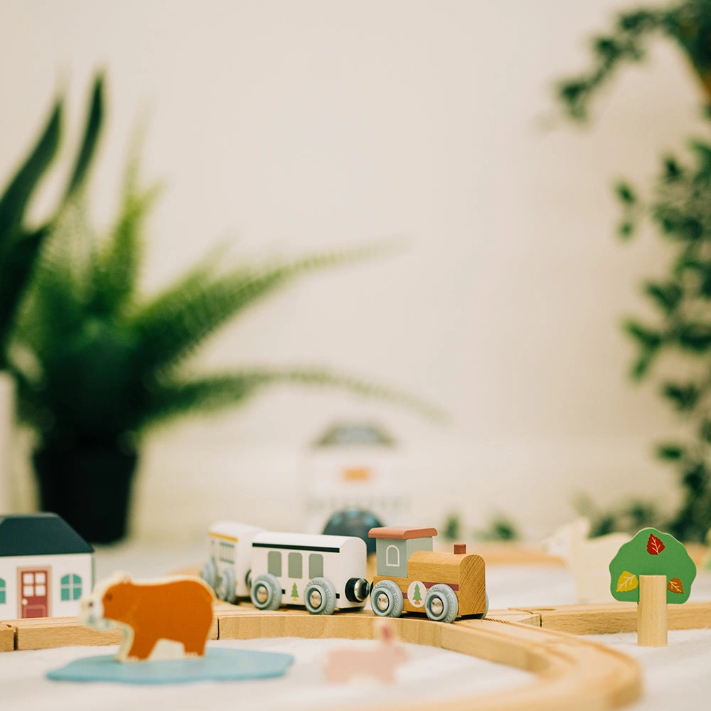 FSC Certified Train Set (Woodland Animal)