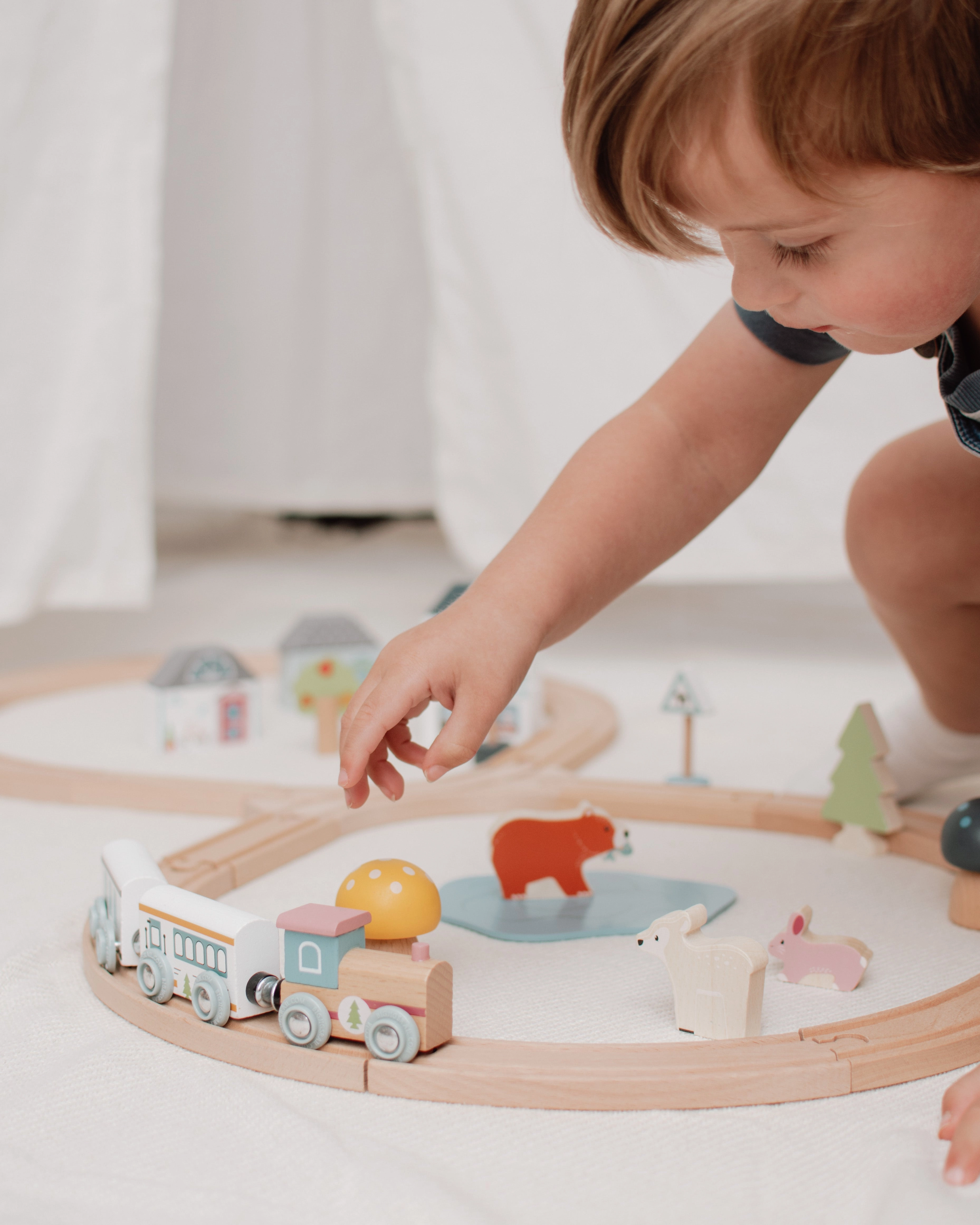 FSC Certified Train Set (Woodland Animal)