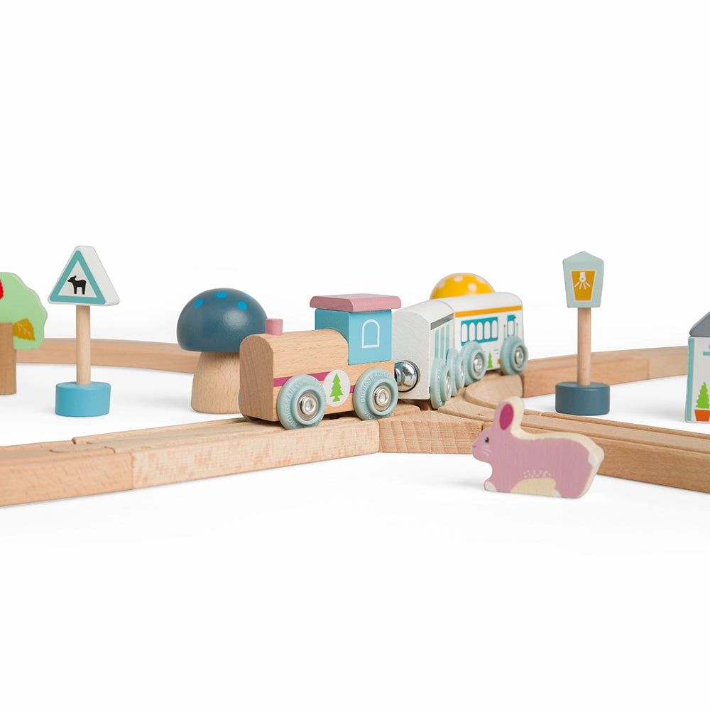 FSC Certified Train Set (Woodland Animal)