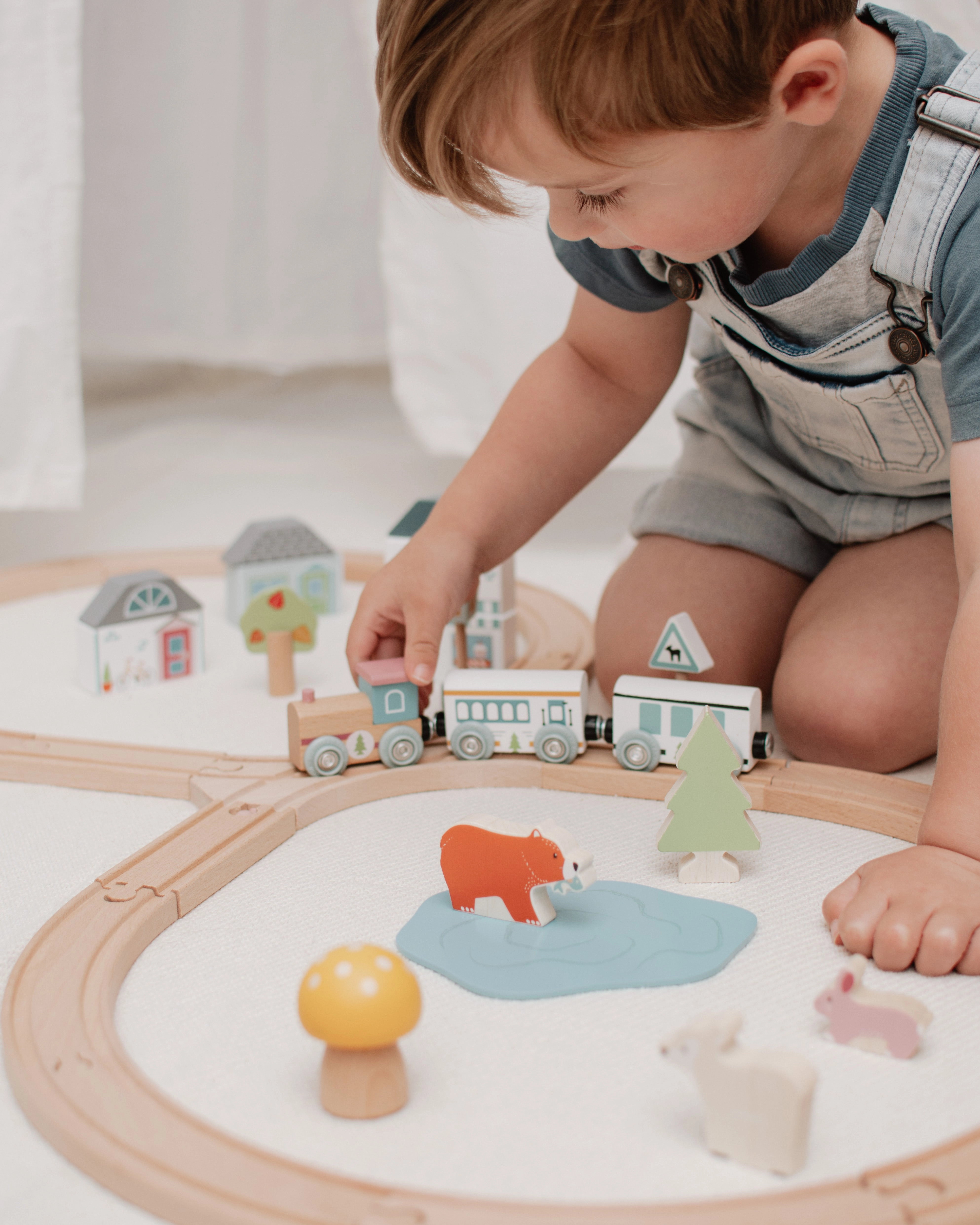 FSC Certified Train Set (Woodland Animal)