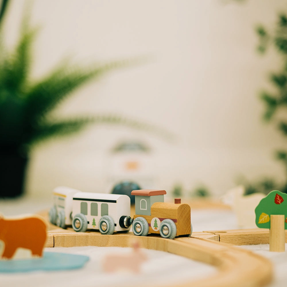 FSC Certified Train Set (Woodland Animal)