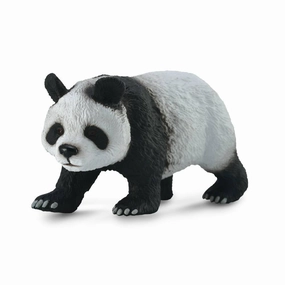 Giant Panda
