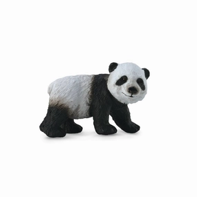 Giant Panda Cub Standing
