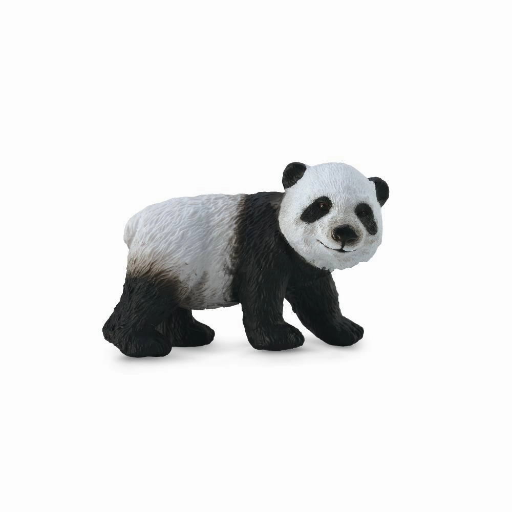 Giant Panda Cub Standing