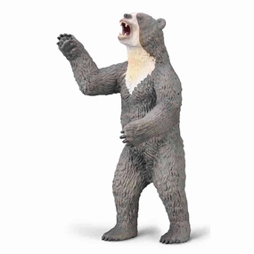 Giant Short-faced Bear
