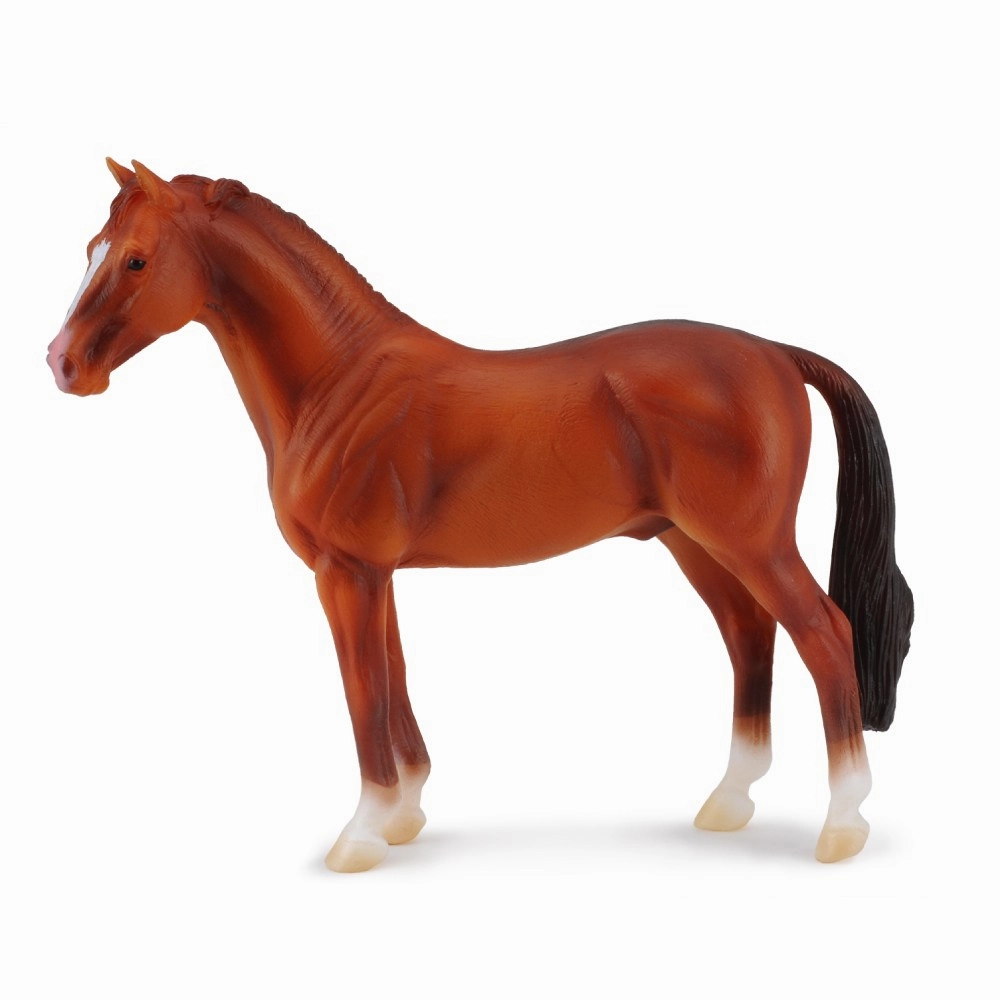 Hanoverian Chestnut