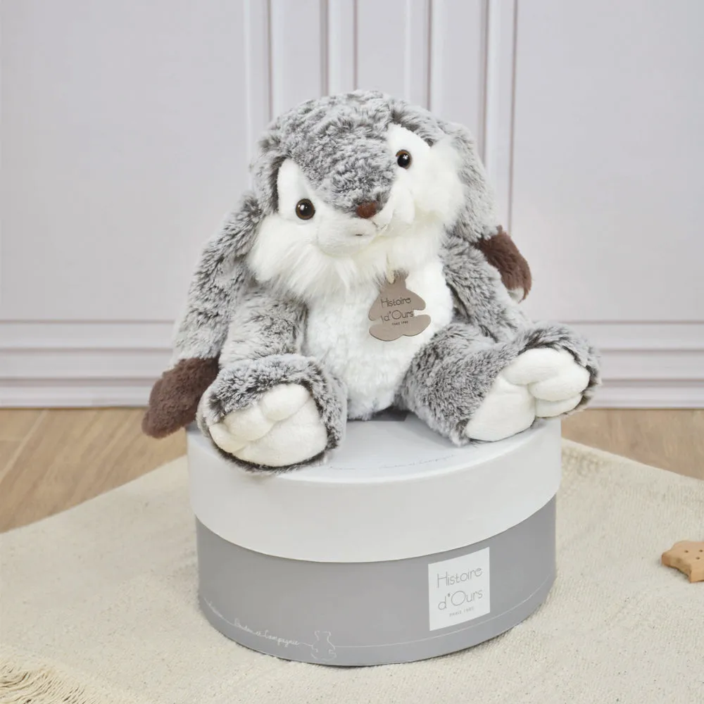 Histoire d'Ours Lapin Marius Rabbit