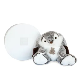 Histoire d'Ours Lapin Marius Rabbit