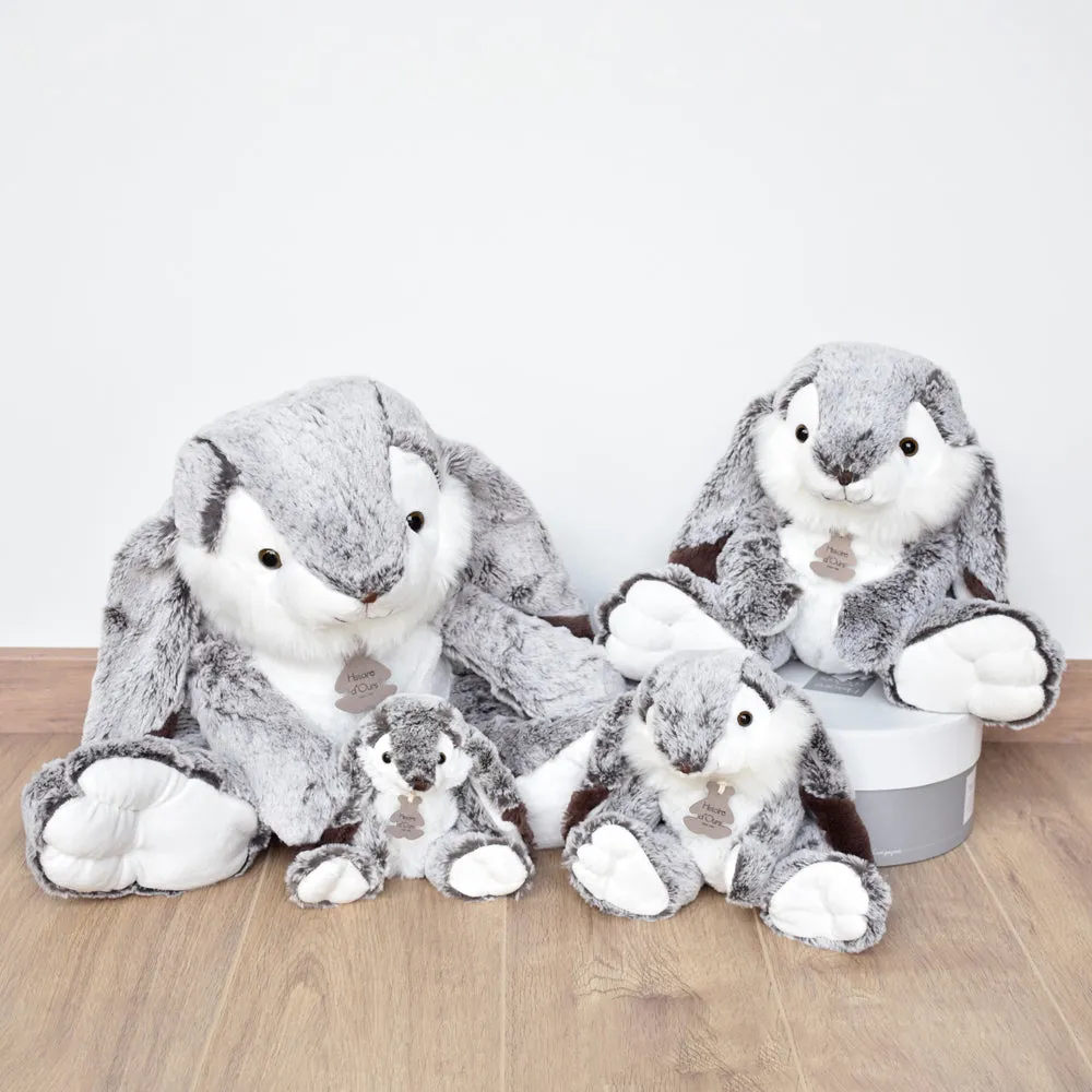 Histoire d'Ours Lapin Marius Rabbit