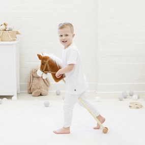Hobby Horse