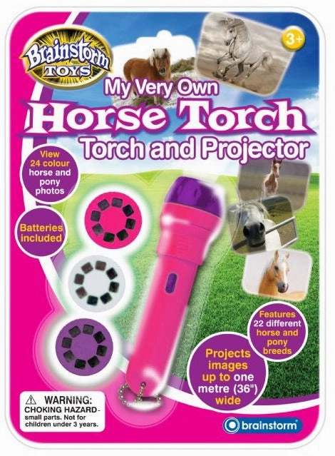 Horse torch and projector