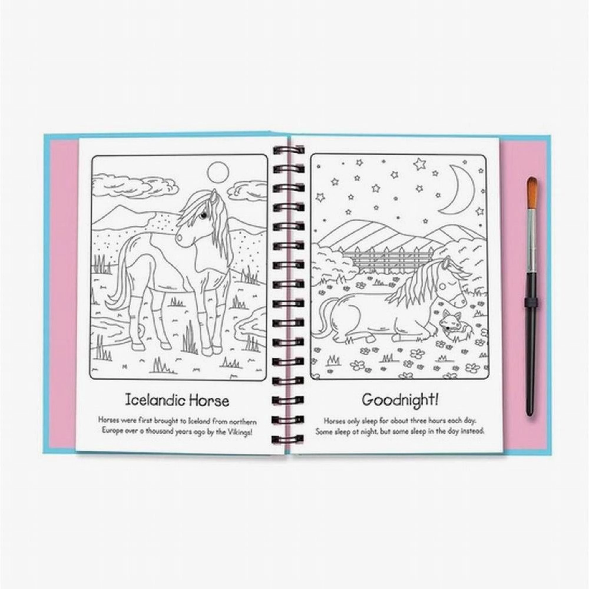 House of Marbles Horses/Unicorns Magic Water