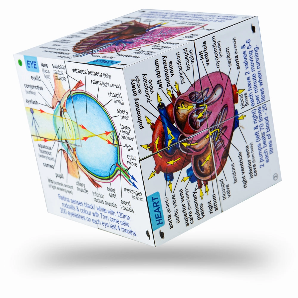 Human Body Systems and Statistics Cubebook