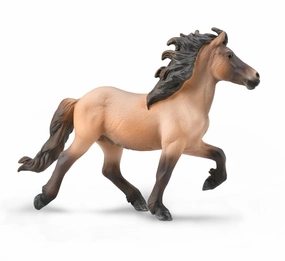 icelandic Stallion - Bay Dun