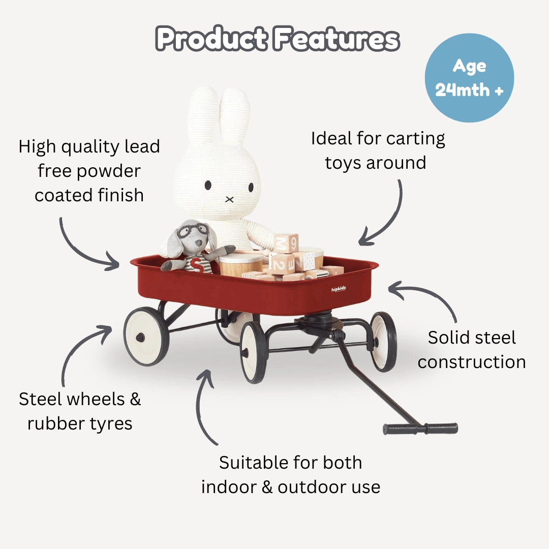 Kids Steel Toy Wagon